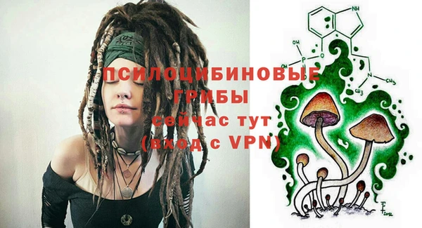 марки lsd Вяземский