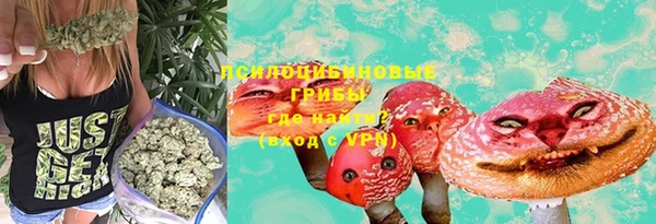 дживик Вязьма